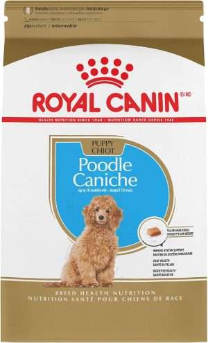 Best Dog Food For Goldendoodles