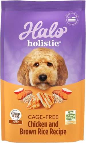 Best Dog Foods for Goldendoodles