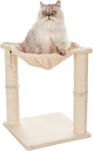 best cat trees
