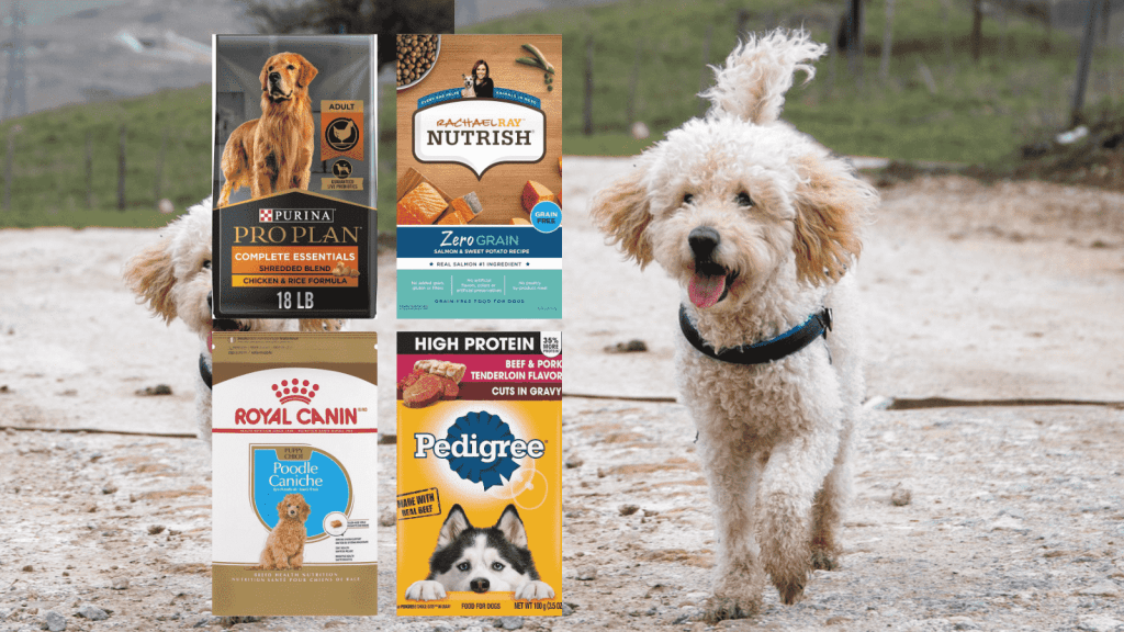 Dog Food for Goldendoodles
