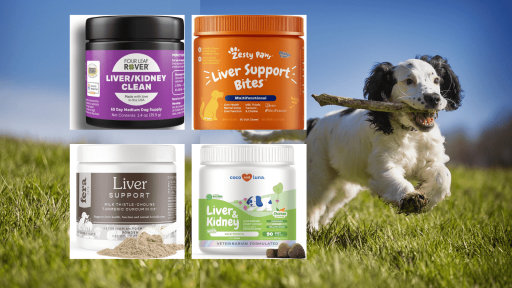 Liver Supplements for Dogs