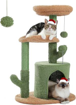 Best Cat Trees
